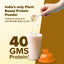 Diabetes Protein Care - Vanilla, Vegan Plant Protein