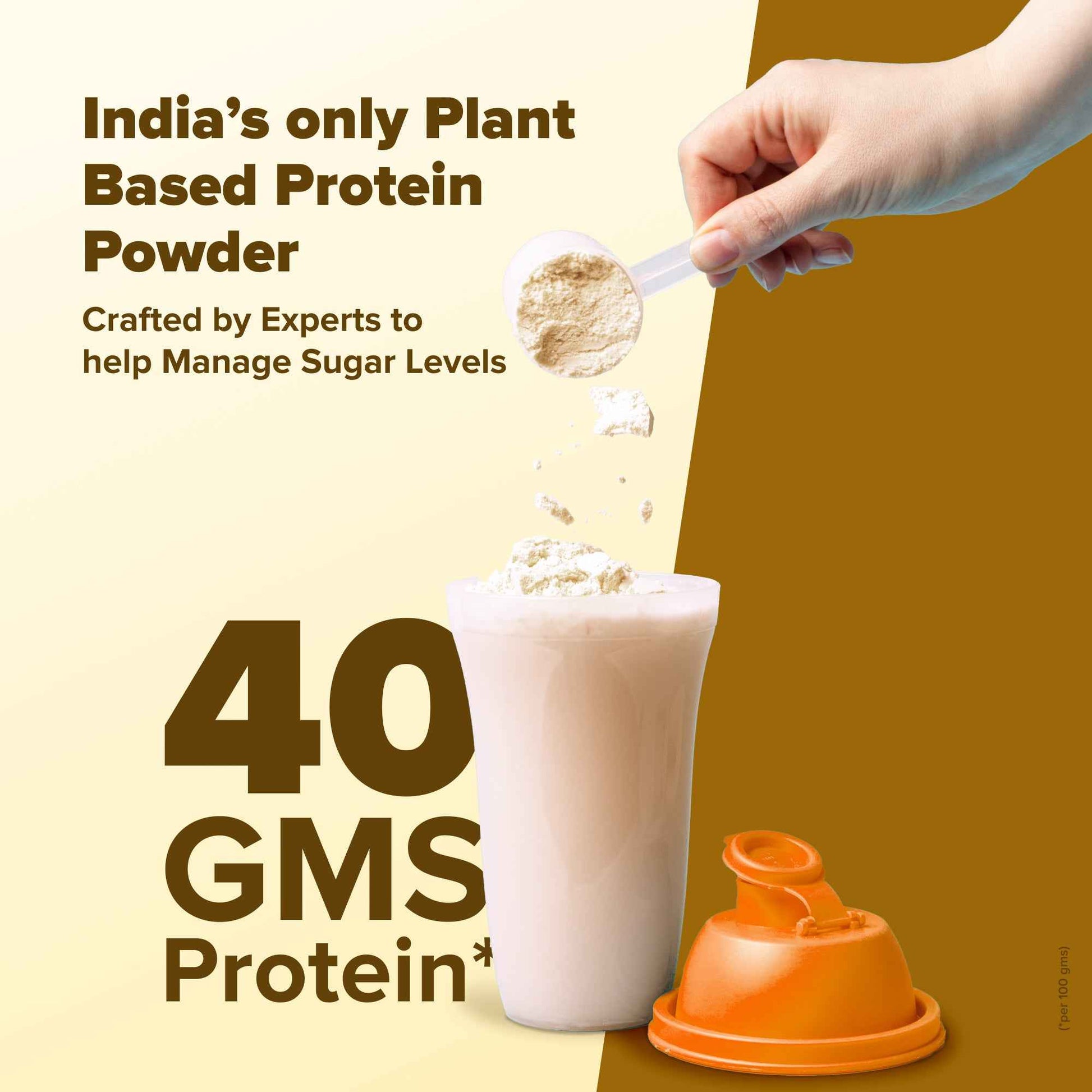 Diabetes Protein Care - Vanilla, Vegan Plant Protein